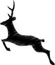 jumping deer